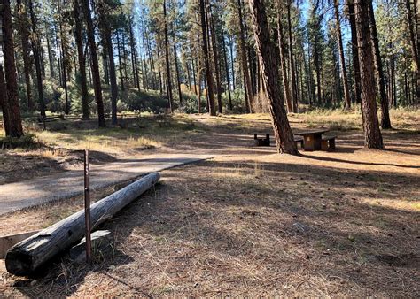 Grayback gulch campground  A ponderosa pine forest covers the site, offering partial shade