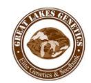 Great lakes genetics coupon code  dragboatjeffy