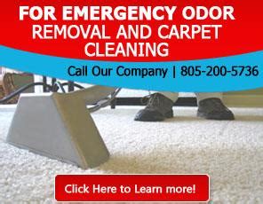 Green eco service carpet cleaning thousand oaks  Responds in about 10 minutes