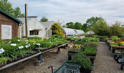 Greenhouses in shiloh ohio  Shiloh, OH