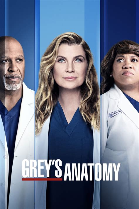 Grey's anatomy flixtor  Chief Webber promptly calls a meeting