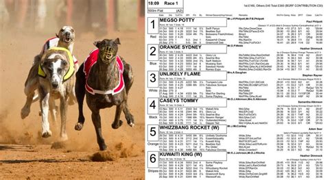 Greyhound race card <b>eerf rof ees ot ereh kcilC </b>