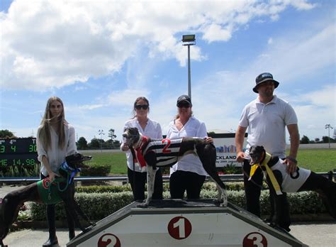 Grnz fields  About Us; Track & Club Information; Christchurch Public Trainers; Trackside DiningReferred to the Veterinarian and cleared of injury