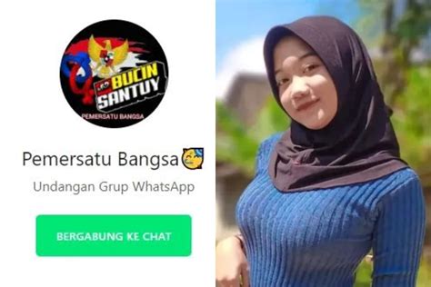 Grup whatsapp pemersatu bangsa 2023  2