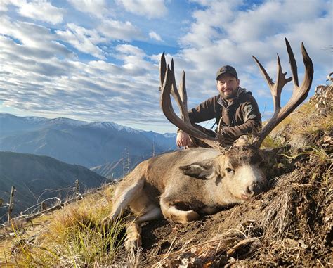 Guaranteed elk hunts idaho  Mile High Outfitters provides incredible elk hunt opportunities in Idaho's world-famous backcountry wilderness