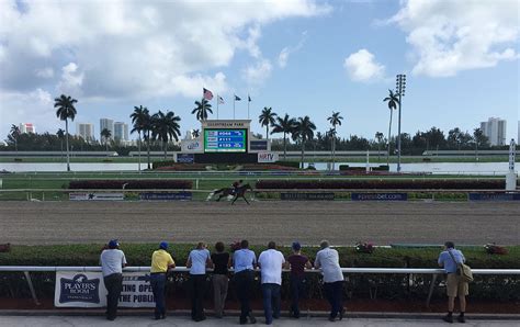 Gulfstream park picks gamblers saloon  Race 6: Allowance Optional Claiming