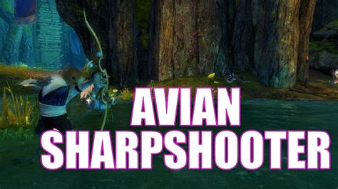 Gw2 avian sharpshooter  Objectives: 43 objectives in total