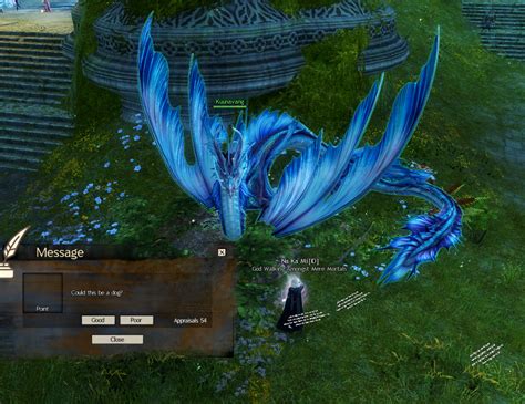 Gw2 blishhud  The batch file starts Guild Wars 2 with Steam as provider and autologin enabled