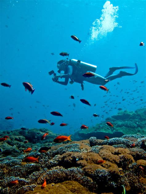 Hadicapped scuba diving bali  Scuba diving and freediving Bali is a particularly popular diving destination do to its affordability, variety of dive sites and accessibility to many dive sites