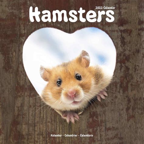 2024 Hamster.ccom els must - qasimes.online Unbearable awareness is