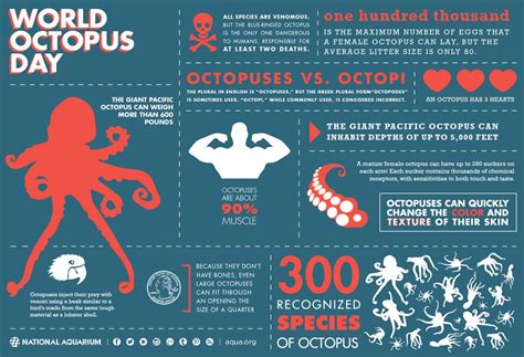 Happy.octopus419 The only energy firm we’ve awarded Which? Recommended Provider status to more than twice