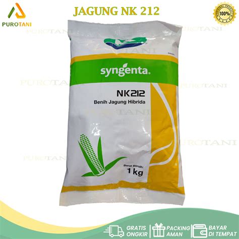 Harga bibit jagung nk 212 1 kg 000: NK 212 1 Kg Benih Jagung Hibrida : Rp100