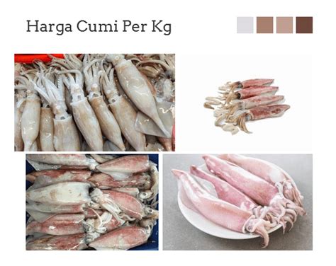 Harga cumi per kg  Frozen Calamari Cumi Goreng Tepung 500 gram