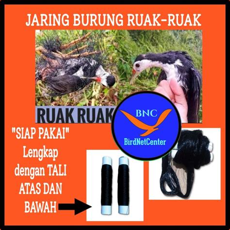 Harga jaring burung ruak ruak <strong>WebBeli Produk Jaring Burung 50 Meter Jaring Berkualitas Dengan Harga Murah dari Berbagai Pelapak di Indonesia</strong>