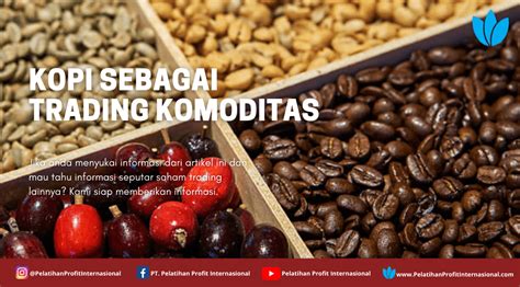 Harga kopra sulut 2023 com - Harga komoditas turunan kelapa yakni KOPRA di sentra perdagangan Kota Manado, Provinsi Sulawesi Utara (Sulut) mengalami peningkatan perhari ini, Senin (21/8/2023)