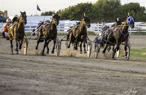 Harness racing update Amy Cruise Husted was born in Oneida, NY, to a renowned harness racing family