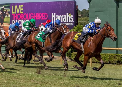 Harrah's louisiana downs live racing  8000 E