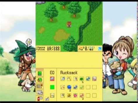 Harvest moon ds cute cheat codes  grounds