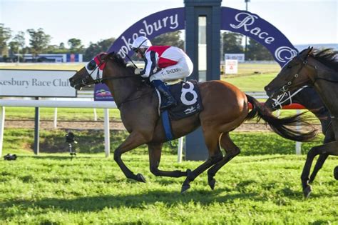 Hawkesbury guineas odds Hawkesbury best bets, odds and quaddie numbers | April 5, 2022
