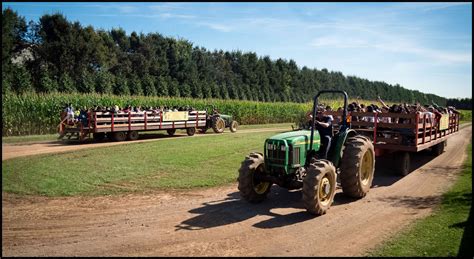 Hayrides jacksonville fl Get reviews, hours, directions, coupons and more for Lazy D Pony/Hayrides