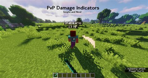 Health indicator minecraft 17 - 1