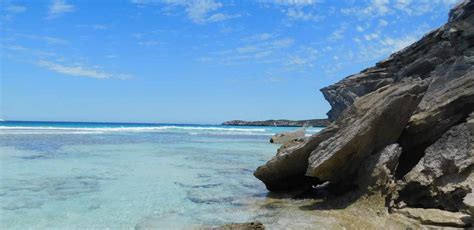 Helicopter rides rottnest  Skydive on