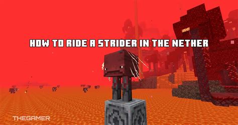 Hell strider minecraft enchantment  Images