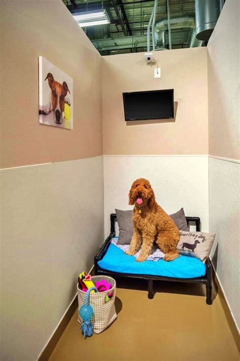 Henderson pet resort reviews  I'm a fan of facilities that have nothing to