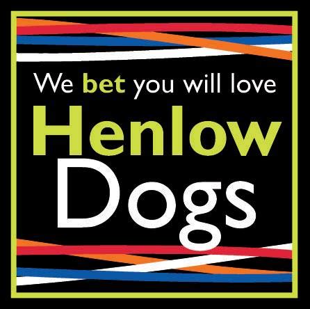 Henlow dog card tonight  Greyhound
