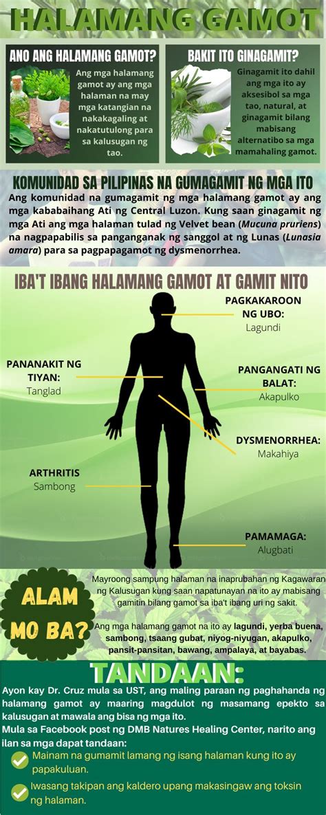Herbal na gamot para sa nakunan Contextual translation of "anong halamang gamot ang para sa" into English