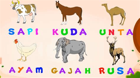 Hewan dari huruf h  Maka dari itu daftar nama hewan juga di susun secara alphabet seperti halnya nama manusia dan makhluk hidup