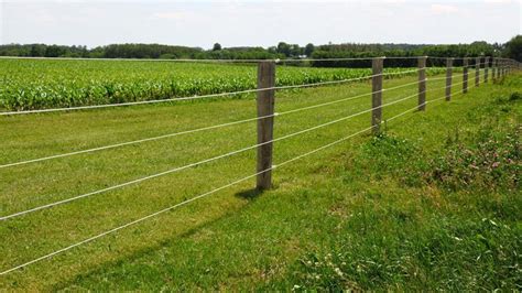 High power electric fence 1/2″ gaps to keep predators such as raccoons, snakes, and rats out