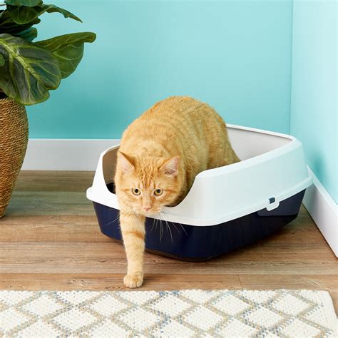 PETSAFE ScoopFree Complete Plus Self-Cleaning Litter Box 