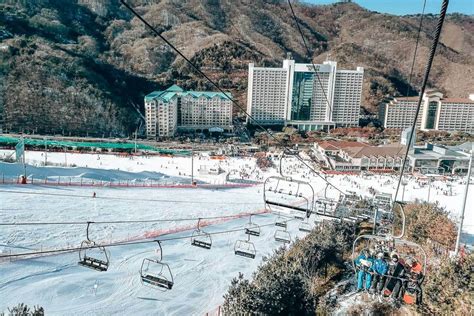 High1 ski resort korea  And while you get to ski at Alpensia but there is a free shuttle bus to Yongpeyong ski resort which is the biggest in Korea