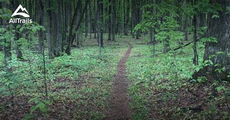 Hiking trails petoskey  Fitness Center