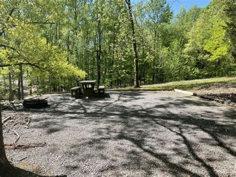 Hillman ferry campground reviews 