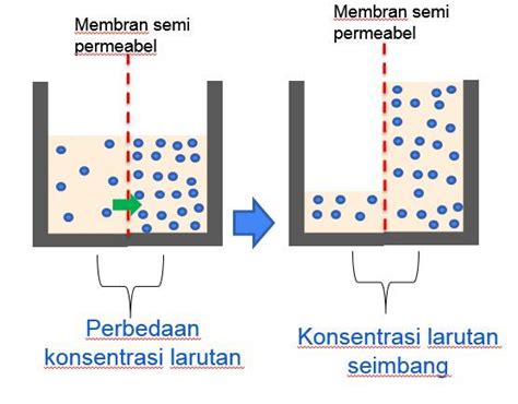 Hipertonis  Pertanyaan