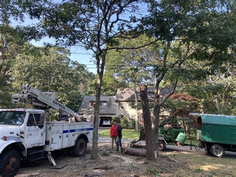 Holbrook house tree experts yarmouth  Search for other Tree Service in Yarmouth Port on The Real Yellow Pages®