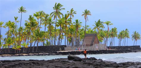Honaunau hawaii hotels  Enter dates to see prices