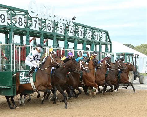 Horse racing hot springs arkansas  September 9, 2022