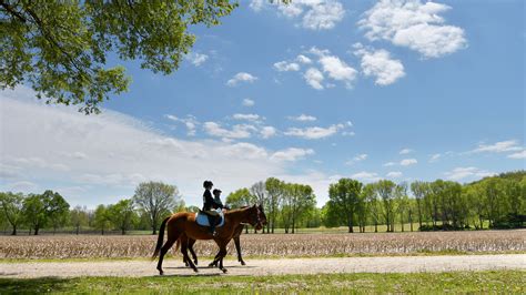 Horseback riding peoria illinois  Sort:Default