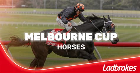 Horses for melbourne cup 2021 Melbourne Cup winners by longest odds