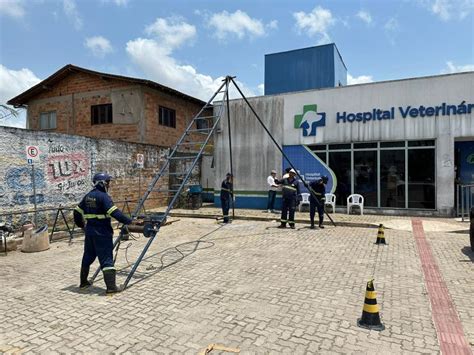 Hospital veterinário municipal dr. vahia fotos Crédito: Foto: Betto Jr/ Secom