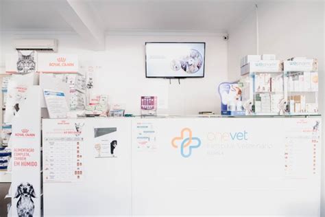 Hospital veterinario berna La empresa Veterinaria Berna S A S tiene como domicilio principal de su actividad la dirección, TRANSVERSAL 4 6 21 BRR CENTRO en la ciudad de SAN VICENTE DEL