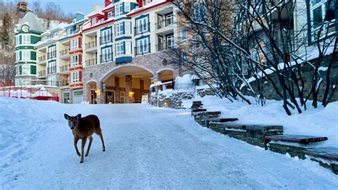 Hotel tremblant  8