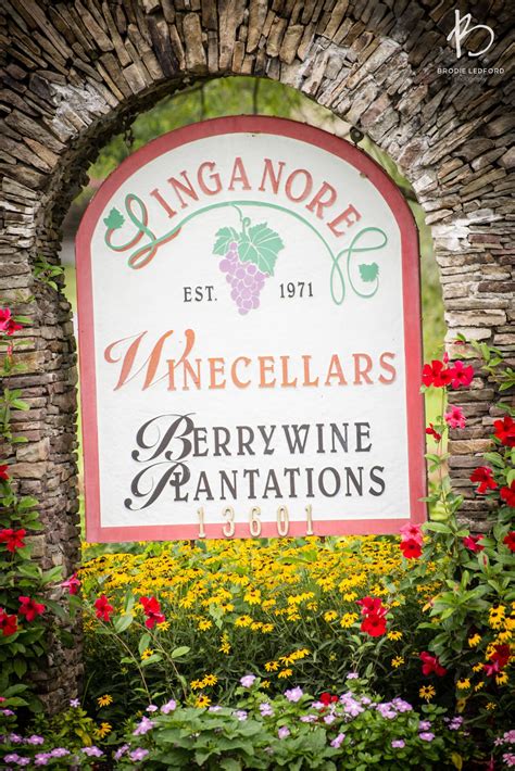 Hotels near linganore winery  Now operated by the founder's children, we welcome you to share in our growing family tradition