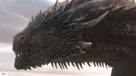 How big was balerion  The Dragon and Balerion did exist in two different eras but the Targaryen family