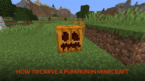 How to carve pumpkins minecraft  This resource pack adds 65 unique hats to your Minecraft experience! All you need to do is get yourself a carved pumpkin, take it to an anvil and rename the carved pumpkin to the hat of your choice making sure you use all lower case