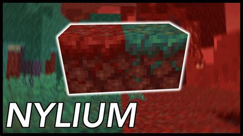 How to get nylium minecraft  Black dye from crafting