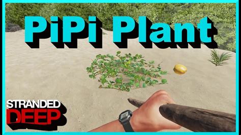 How to grow pipi on stranded deep  It will also be watered when it is raining